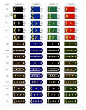 美国有几个五星上将:骚乱惊动军方大佬，美国四星上将现身华盛顿抗议现场，如何评价