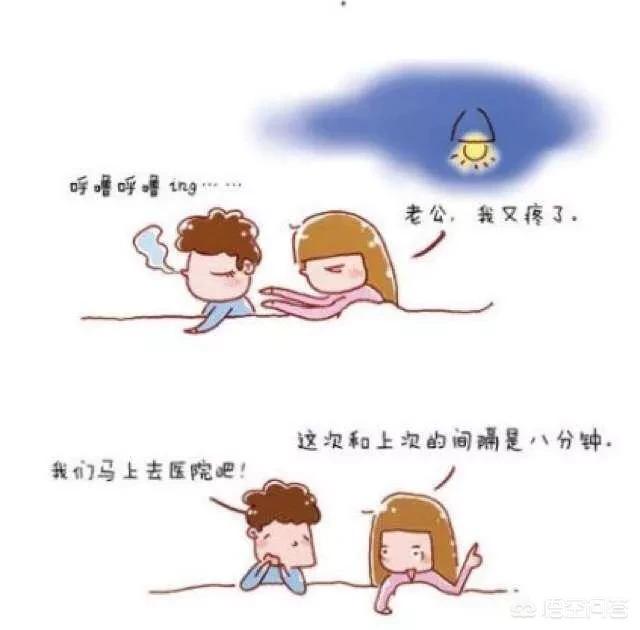 松狮狗生产前的预兆:准妈怎样辨别什么时候要分娩？