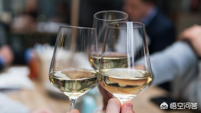 红酒的喝法视频教程，如何学会葡萄酒的品鉴的第一步？