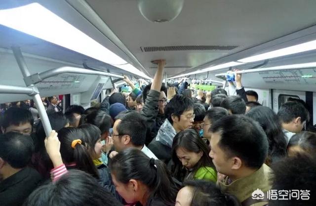 小金鱼图片:男子带金鱼上地铁被拦，把鱼倒在地上，金鱼为什么不能乘？