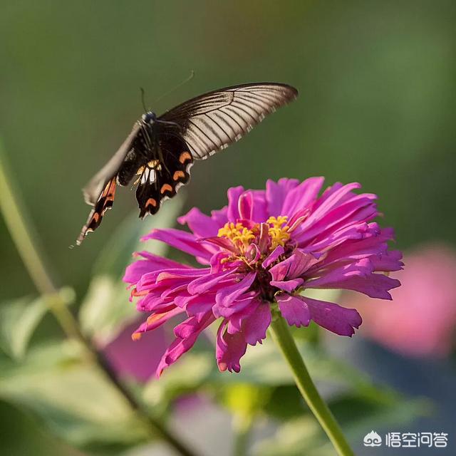 一个女人对自己男人发火;一个女人不管自己的男人