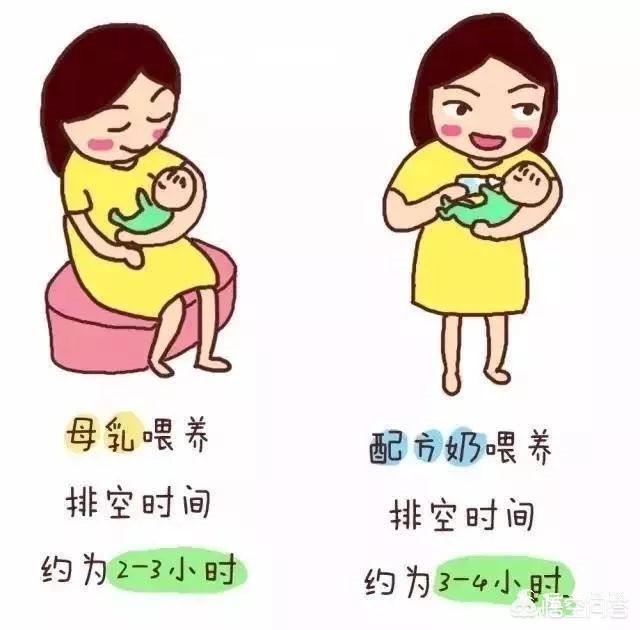 六个月宝宝喂食时间:六个月的宝宝，每天喝多少奶正常？