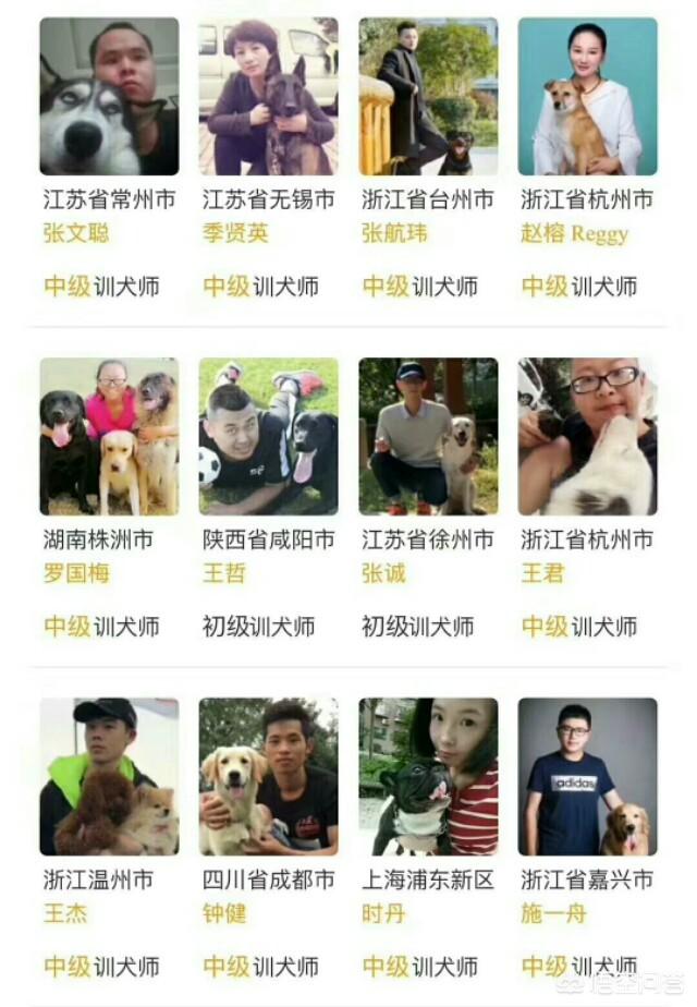 哈尔滨训犬师招聘:训犬师，训一支小狗多少钱？