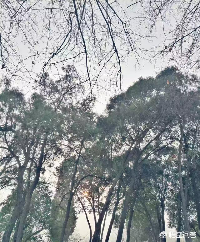 每天想要户外运动,几点合适？