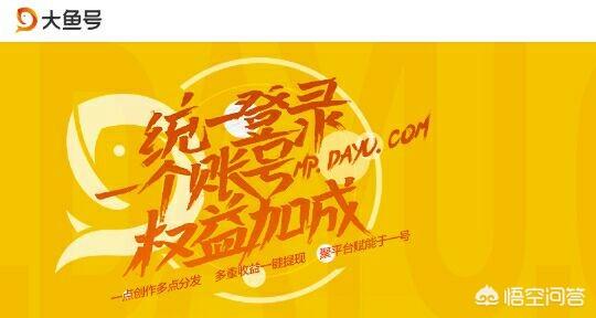 大鱼号怎么申请？