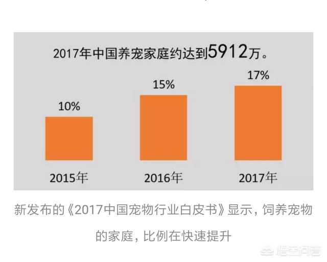 公狗强奸母狗:我养了三年的狗被老公打死了，我该怎么办？