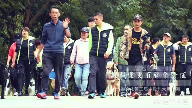 普宁宠物训练教程价格:想学习养宠物狗和训练宠物狗，可以看哪些书籍？