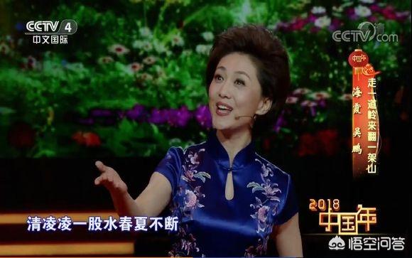 海霞姐是男是女:如何评价央视女主播海霞？她最近怎么样？