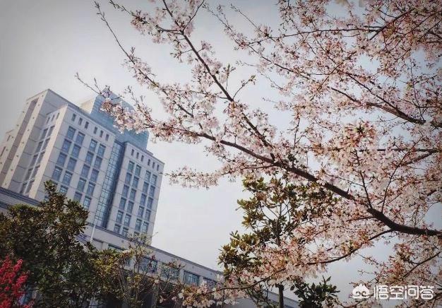 无锡樱花节:去无锡旅游哪些景点值得推荐