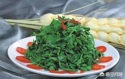 保定常能采集到能吃的野菜有什么？