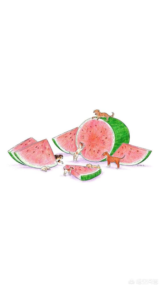 青天白日壁纸:有没有白色手机高清壁纸？