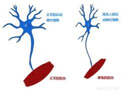 霍金死亡的全部过程:史蒂芬·霍金去世，他的离世会让人类损失什么？