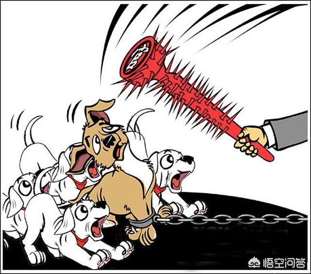 城市禁养犬有哪些？