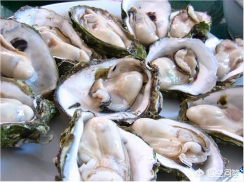 生蚝补肾壮阳吗，多吃海蛎子对身体有什么好处？