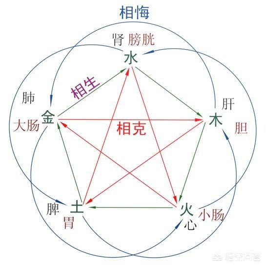 八纲辨证中的八纲是什么,中医发展的理论框架是什么？
