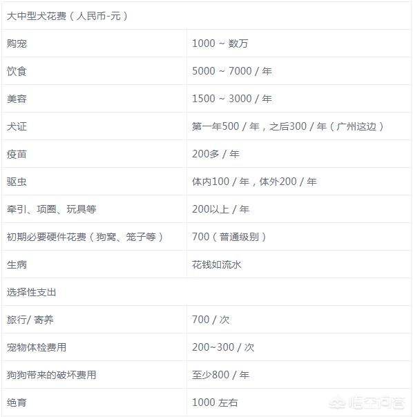 养一只狗和一只猫,每个月需要多少钱？