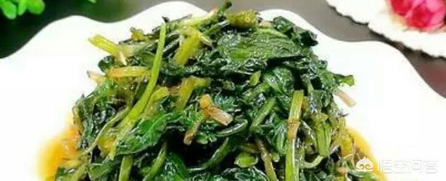 蒲公英怎么做好吃？有几种做法呢？