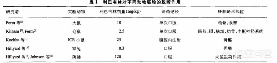 副流感病毒:鹅场地有副粘病毒该怎么处理？