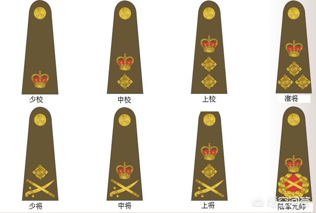 美国有几个五星上将:骚乱惊动军方大佬，美国四星上将现身华盛顿抗议现场，如何评价