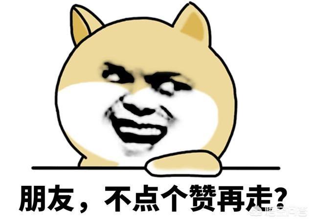 郭德纲为什么进不了体制内？