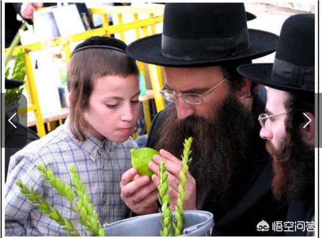 头条问答 - 二战时期德国人怎么知道谁是犹太人?(西秦懒仙的回答,0赞)