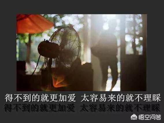 张柏芝新欢:为什么说：“谁的新欢不是别人的旧爱”呢？