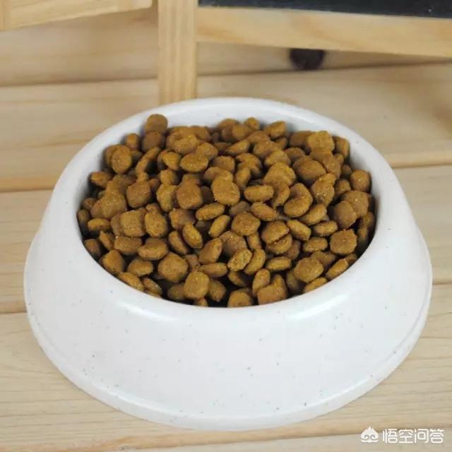 哈士奇狗的狗粮怎么泡:狗粮要怎么喂，需要开水泡开吗？ 哈士奇幼犬狗粮要泡吗