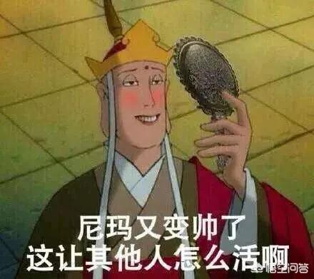 香蕉小狗造型做法大全:香蕉造型做法大全图片 你会自己给狗狗做造型吗？