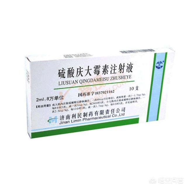 家中常备药,养狗家中应常备哪些药物？