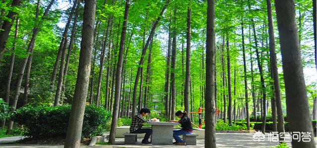 陈宗兴:武汉生物工程学院怎么样？