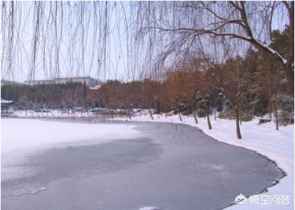 陈宗兴:武汉生物工程学院怎么样？