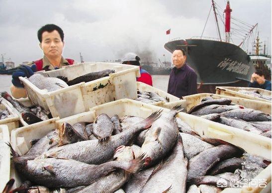 皮卡車拉魚走高速要收費嗎? - 亨男梭汽車網