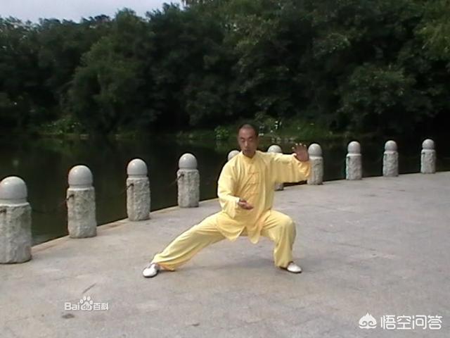 太极雀不飞是什么:太极雀不飞 练武需要什么天赋，才能登峰造极，成为一代宗师？