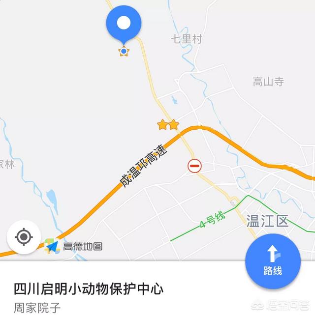 狗狗音乐网乐乐论坛:怎样给自己的狗狗取名字？
