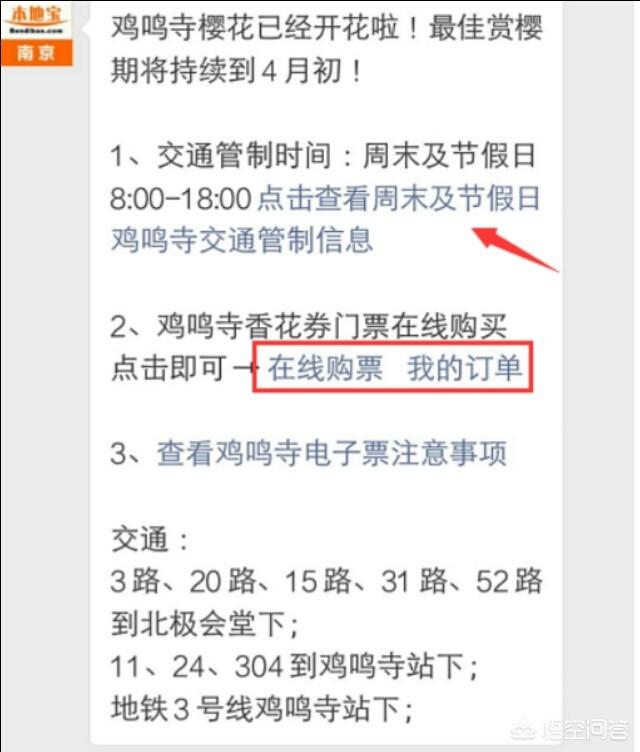 南京可以去哪玩？