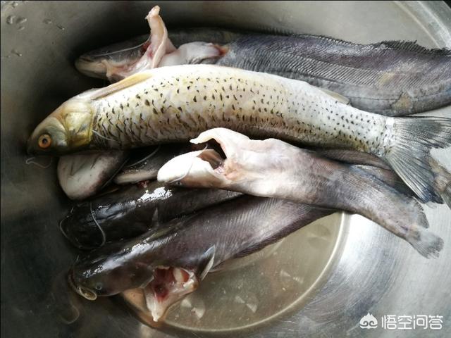 头条问答- 炖的鱼汤腥味很重怎么办？怎么炖鱼汤才好喝？(274个回答)
