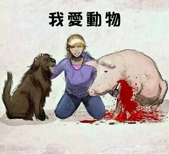 高速路拦车救狗被刑拘:高速拦车救狗，拦车者负什么法律责任？