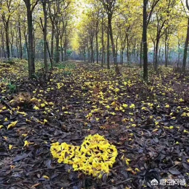 有没有什么很少女的英文歌？