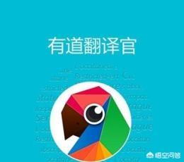 哪个翻译App更好用？