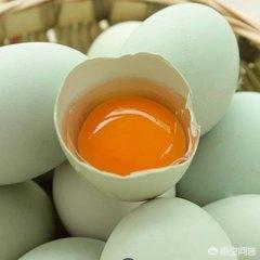 绿壳鸡蛋比黄壳鸡蛋好在哪里，绿壳鸡蛋和一般鸡蛋的营养有什么区别