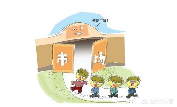 想运营新媒体，需要注意些什么