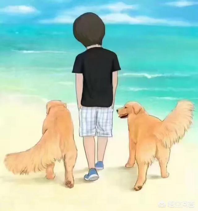 金毛幼犬的狗粮怎么选:刚入手一只金毛。想请教下关于训练，以及狗粮的选择？ 金毛幼犬吃什么牌子的狗粮最好