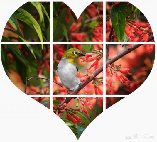 怎样把微信中的照片做成<a href=https://maguai.com/list/43-0-0.html target=_blank class=infotextkey><a href=https://maguai.com/list/43-0-0.html target=_blank class=infotextkey>音乐</a></a>相册发到<a href=https://maguai.com/list/256-0-0.html target=_blank class=infotextkey><a href=https://maguai.com/list/256-0-0.html target=_blank class=infotextkey>朋友圈</a></a>(微信<a href=https://maguai.com/list/256-0-0.html target=_blank class=infotextkey><a href=https://maguai.com/list/256-0-0.html target=_blank class=infotextkey>朋友圈</a></a>怎样自制<a href=https://maguai.com/list/43-0-0.html target=_blank class=infotextkey><a href=https://maguai.com/list/43-0-0.html target=_blank class=infotextkey>音乐</a></a>)