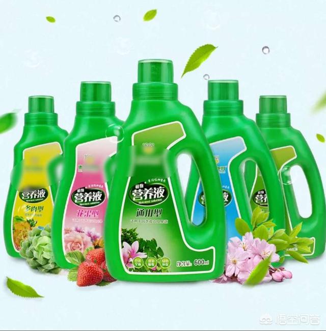 水培植物营养液配方:水培蔬菜营养液配方是什么？
