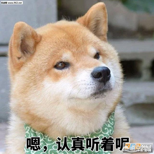 高加索犬打架视频:两只高加索会比老虎厉害吗？