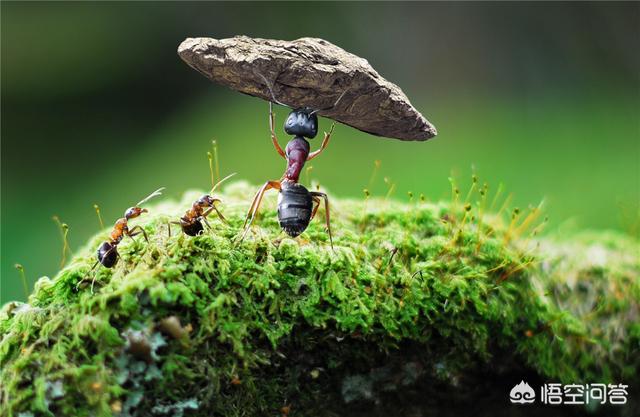 一个人要发财的预兆有哪些,你们身边那些发了财的人有什么共同点吗？