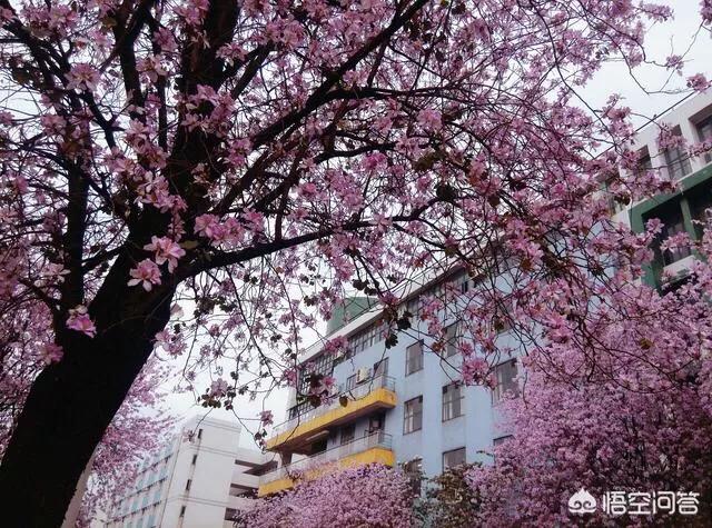 花都灵异事件地点排行:广州有哪些非常值得一去的地方？
