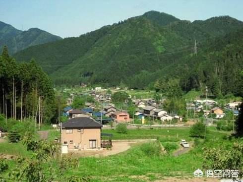 清理坟草禁忌,清明节快到了，上坟有哪些忌讳？