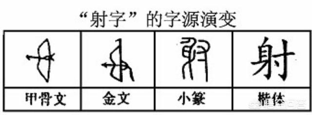 头条问答 矮是委矢两字会意是射之义 而射是寸身会意是矮之义 为什么两字不能互换 4个回答