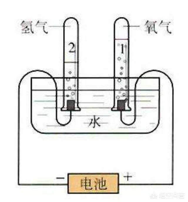 头条问答 